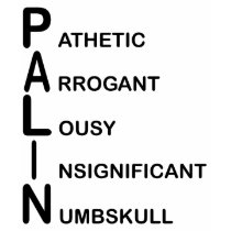 P.A.L.I.N t-shirts