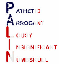 P.A.L.I.N t-shirts
