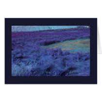 'P Below in Indigo' cards