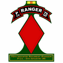 P Co, 75th Infantry Regiment - Rangers, Vietnam photo sculptures by a2zgraphicsworks P Co, 75th Infantry Regiment - Rangers, Vietnam photo sculptures