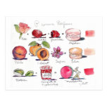 P comme Parfum Macaron Postcards