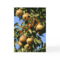 P in a Pear Tree Christmas Card by catzeye P in a Pear Tree Christmas Card