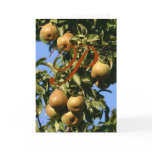 P in a Pear Tree Christmas Card