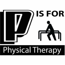 P Is For Physical Therapy Acrylic Cut Out