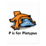 P is for Platypus Post Card