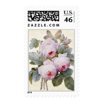 P.J. Redoute Bourbon Rose Postage Stamp