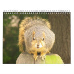 p_squirrel_close calendar