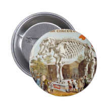 P.T. Barnum Show postcard Pin
