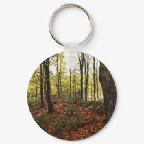 PA240180 keychains