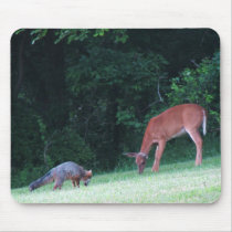 Pa Gray Fox & White Tail Deer mousepads