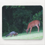 Pa Gray Fox & White Tail Deer mousepads