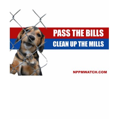 PA Pass The Bills/Clean Up The Mills Shirt by NPPMWATCH