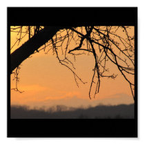 Pa Sky Poster posters