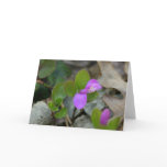 PA Wildflowers - Fringed Polygala Notecard