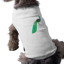 Paavo Peacock pet clothing