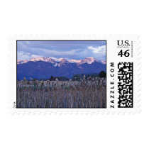 Pablo National Wildlife Refuge Postage Stamp