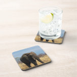 Pachyderm Cork Coasters
