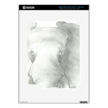 Pachyderm iPad 3 Skin skins