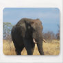 Pachyderm Mouse Pad