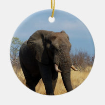 Pachyderm Ornament
