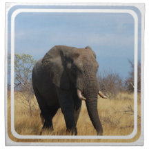 Pachyderm Set of Four Napkins
