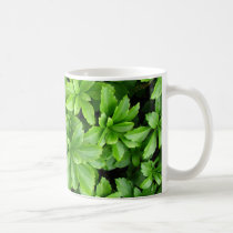 Pachysandra Mug mugs