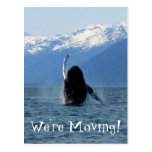 Pacific Ballet; Change of Address Post Card