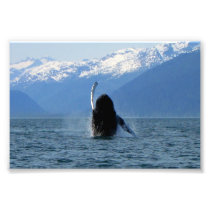 Pacific Ballet Art Photo