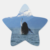 Pacific Ballet Star Sticker