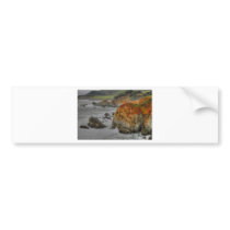 Pacific coast bumper sticker