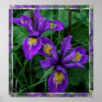Pacific coast iris print