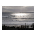 Pacific Coast Poster print