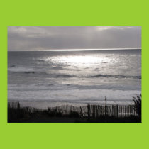 Pacific Coast Poster posters