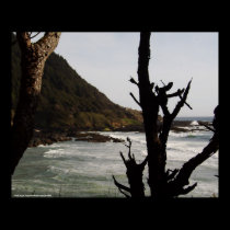"Pacific Coast" posters