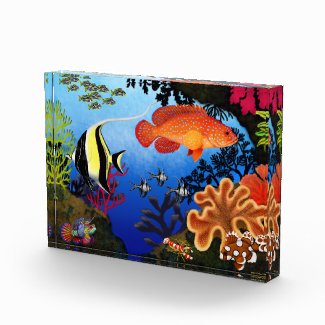 Pacific Coral Reef Aquarium Fish Award