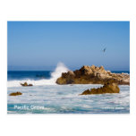 Pacific Grove California Products Postcard