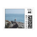 Pacific Gull postage