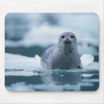 pacific harbor seal, Phoca vitulina richardsi Mouse Pad