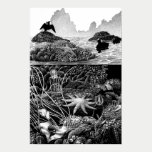 Pacific Intertidal posters