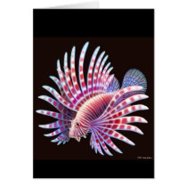 Pacific Lionfish Card by twopurringcats Pacific Lionfish Card