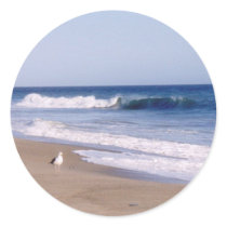 Pacific Ocean Gull stickers