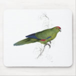 Pacific Parrakeet by Edward Lear Mousemat