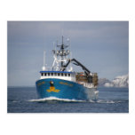 Pacific Sun, Crab Boat in Dutch Harbor, Alaska Post Card