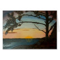 Pacific Sunset Wikininnish Island BC cards