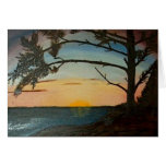 Pacific Sunset Wikininnish Island BC cards