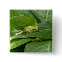 Pacific Tree Frog - Button by GardenDelightsArts Pacific Tree Frog - Button
