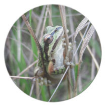 Pacific Treefrog or Chorus Frog plates