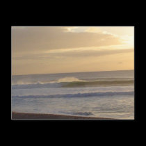 Pacific untamed postcards