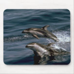 Pacific white-sided dolphin mouse pad
