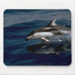 Pacific white-sided dolphin mouse pads